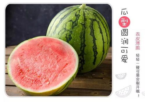 优雅吃瓜全文,揭秘娱乐圈幕后真相，带你领略娱乐界的别样风采