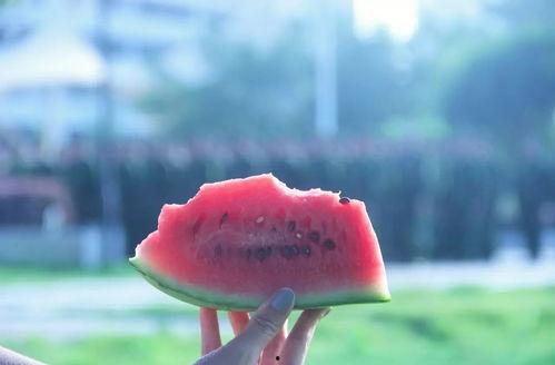 安静吃瓜的图片,品味生活瞬间