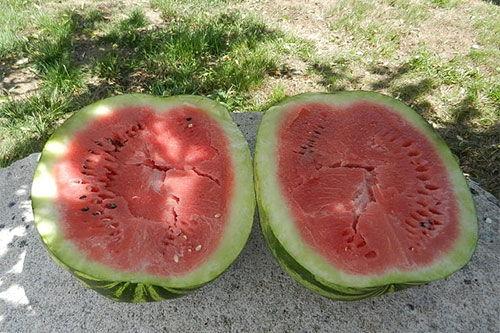 梦见有人给瓜吃,瓜果飘香，共享甜蜜梦境之旅