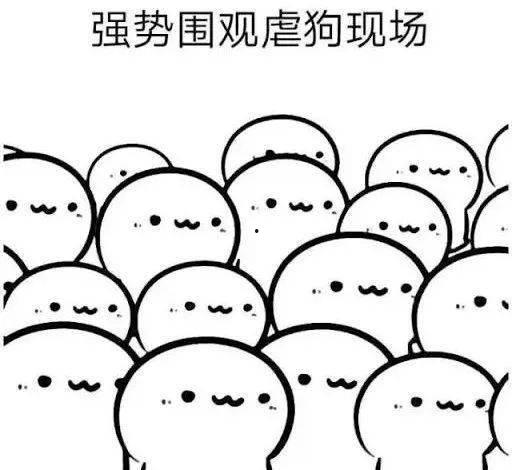 吃瓜学习两不误,轻松掌握知识新风尚