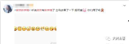 微信 吃瓜客服,揭秘网络红人的幕后助手