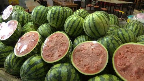 吃自由的瓜,探寻吃自由的独特魅力