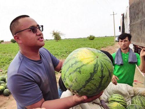 吃瓜修理工,揭秘娱乐圈背后的秘密与真相