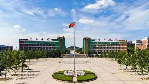 吃瓜淄博师专,吃瓜群众揭秘校园生活点滴