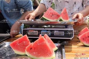 吃瓜选手吃西瓜,揭秘吃瓜选手的西瓜盛宴