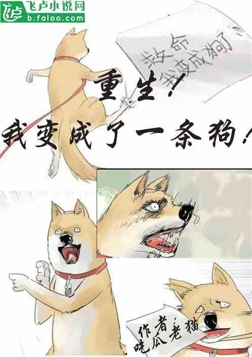 吃瓜变吃席小说,一场意外引发的奇幻之旅