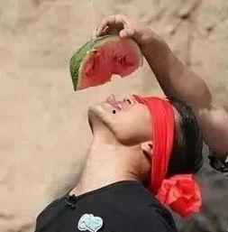 看瓜吃瓜路人甲,揭秘网络围观背后的心理奥秘