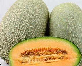 吃哈密瓜背景,品味西域甜蜜诱惑