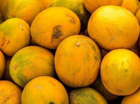 梦见摘香瓜吃瓜,摘香瓜吃瓜的奇幻之旅