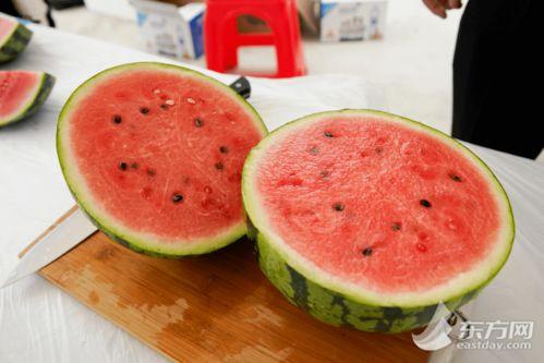 吃瓜南京第一深情吃瓜,带你领略瓜界风云