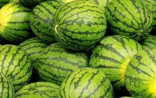 吃瓜吃个大西瓜,一瓜解千愁，大西瓜带来的清凉与甜蜜