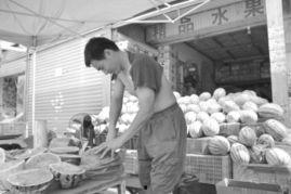 吃瓜吃到临沂了,瓜田里的临沂，瓜香四溢！