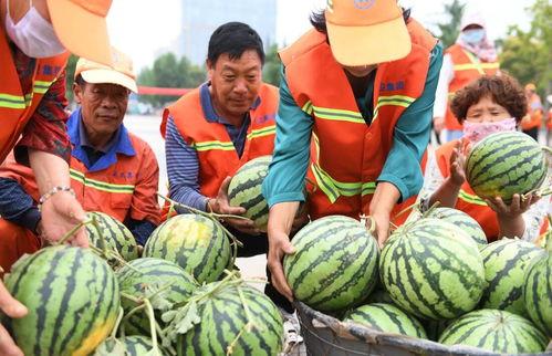 临沂郯城吃瓜事件,一场网络热议背后的真相与反思