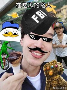 无知吃瓜路人,揭秘人生百态的趣味观察