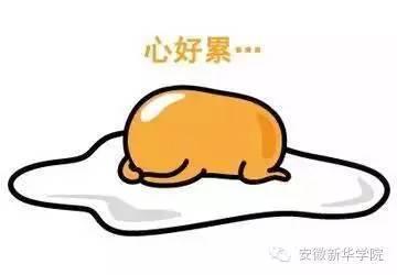 被骗的吃瓜群众,揭秘被骗吃瓜群众的悲惨遭遇