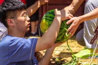 椰椰直播吃瓜,瓜果飘香，甜蜜滋味尽享其中