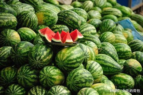 吃瓜厨房1,揭秘娱乐圈背后的那些事儿