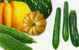 秋裤吃瓜吃自己身上,笑谈生活百态