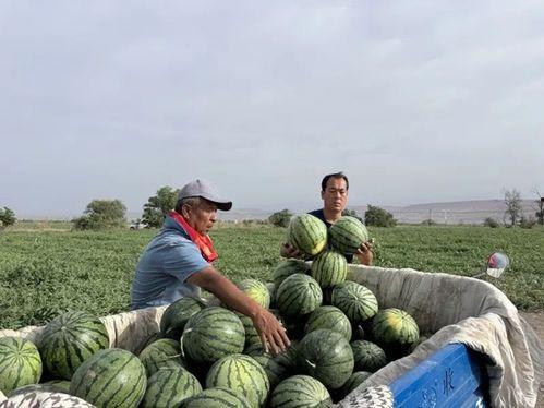商丘睢阳区吃瓜事件视频,一场引发热议的街头冲突瞬间