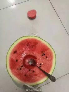 拍照拍到吃瓜,揭秘拍照吃瓜背后的趣味与智慧