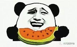 雷打不动吃瓜群众,吃瓜群众见证时代风云