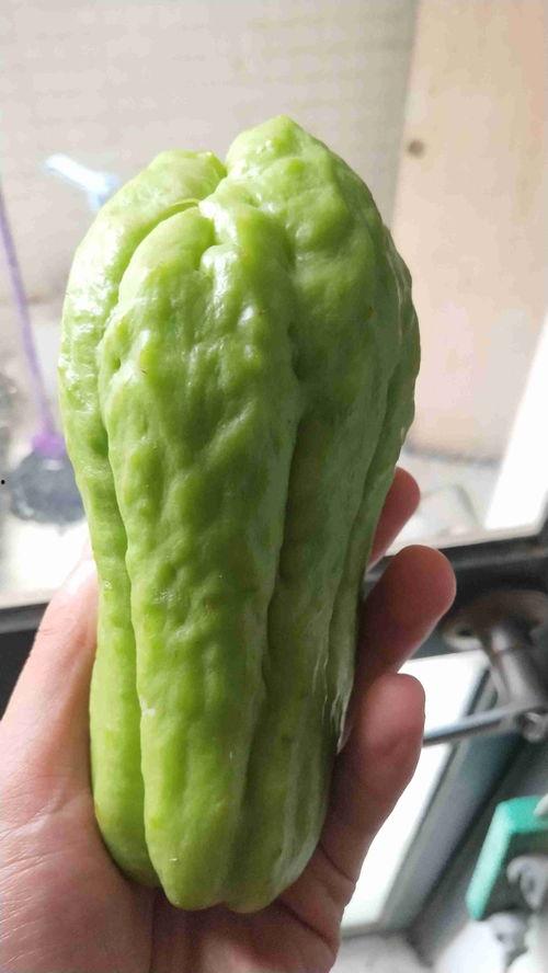 僵面瓜怎么吃,解锁美味新体验