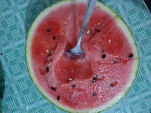 晋城红薯老公吃瓜,晋城红薯老公的甜蜜瓜果生活