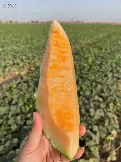 星月云吃瓜,揭秘娱乐圈幕后故事