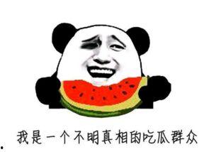 最牛吃瓜群众分享,最牛吃瓜群众带你领略幕后风云