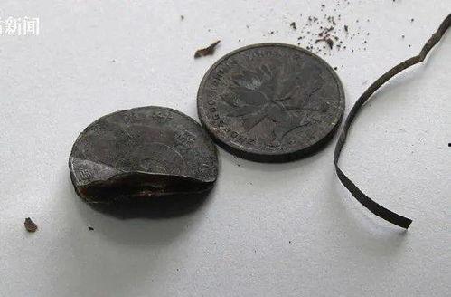 毒硬币吃瓜,吃瓜群众揭秘幕后真相