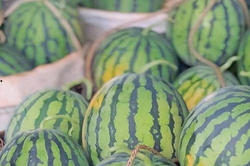 哪里能找到吃瓜,哪里能轻松找到最新吃瓜资讯？